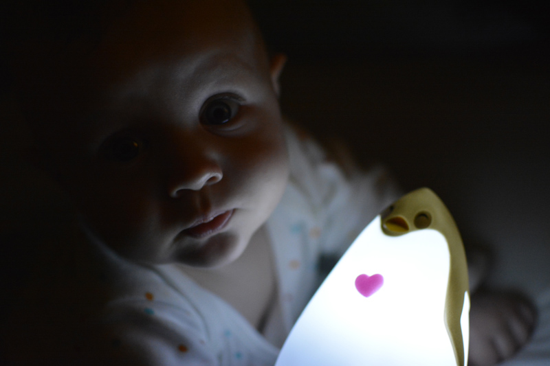 Lampka Pingwinek Lampka Świecąca Blog Dziecięcy (6)
