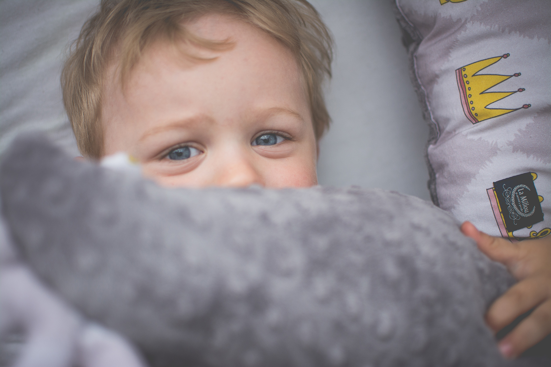 Jak wygrać w totka nie kupując losów?